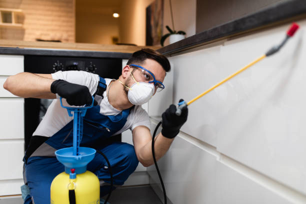 Professional Pest Control in Duncannon, PA