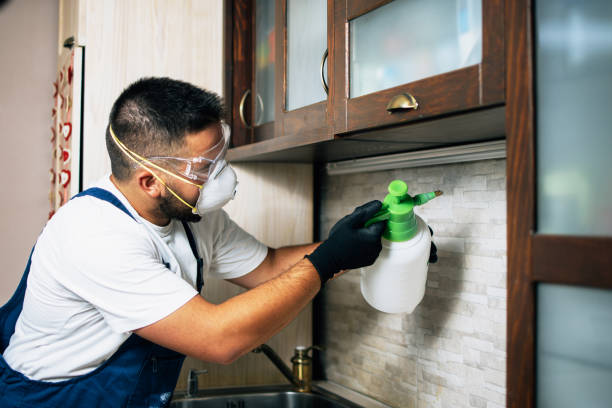 Best Pest Prevention Services  in Duncannon, PA