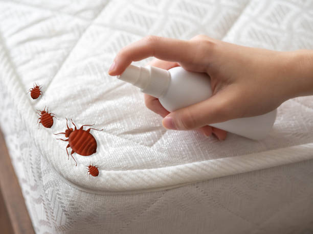 Best Pest Control Near Me  in Duncannon, PA